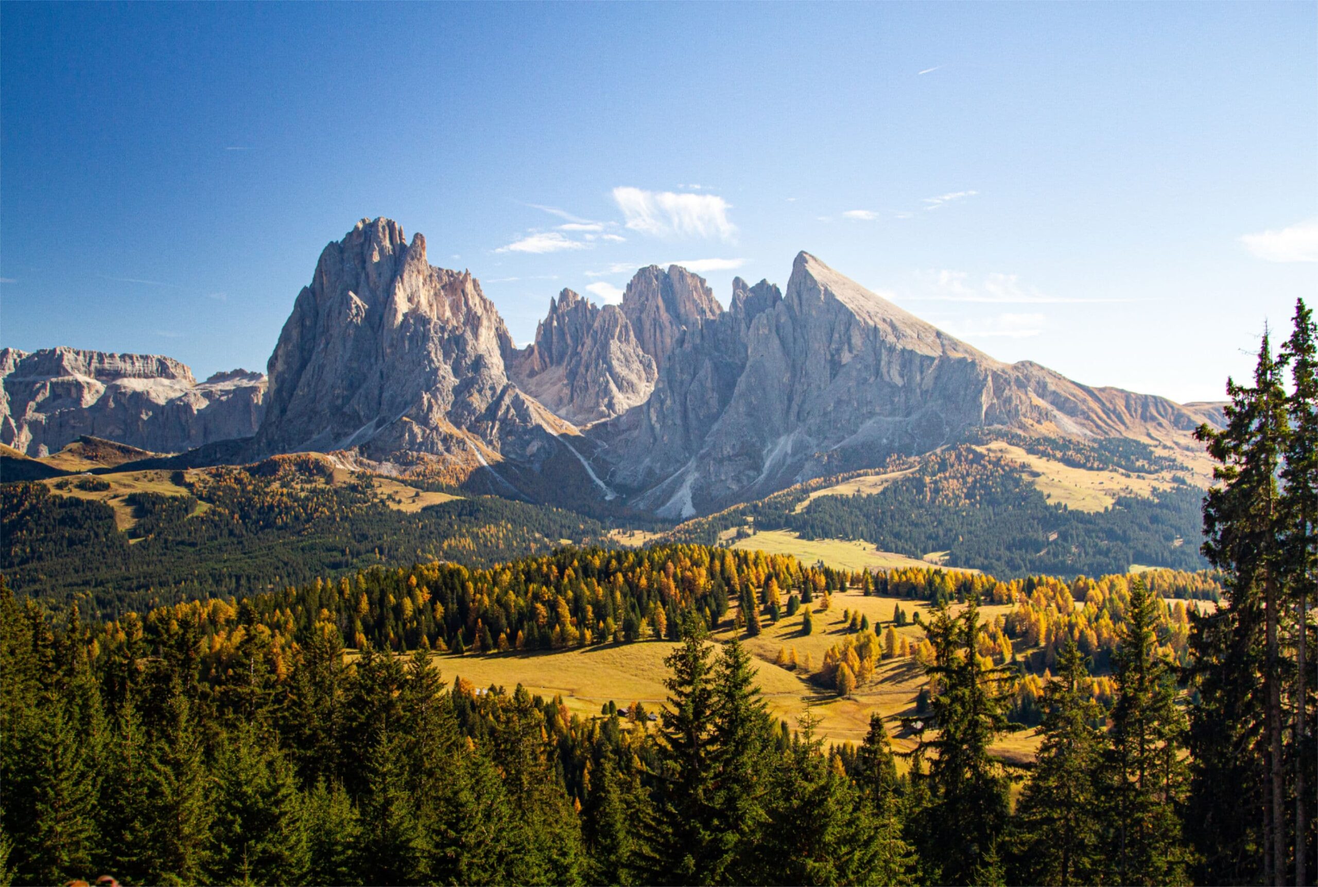 Welcome to the ISPO Impact Foundation!